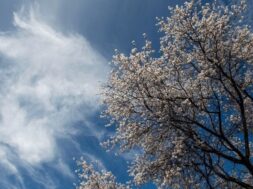 df58845852bf845bab874abf7ef5adfc