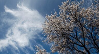 df58845852bf845bab874abf7ef5adfc