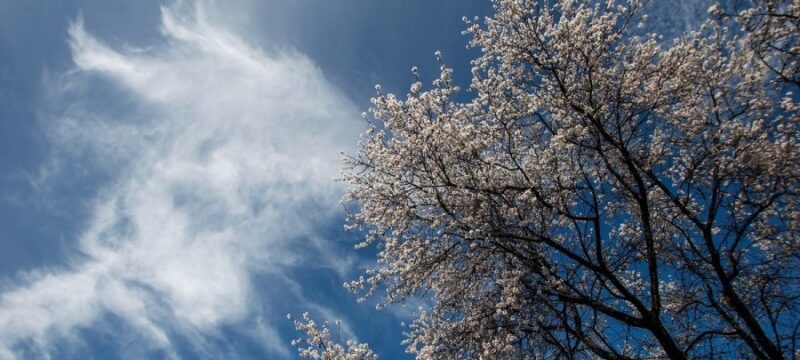 df58845852bf845bab874abf7ef5adfc