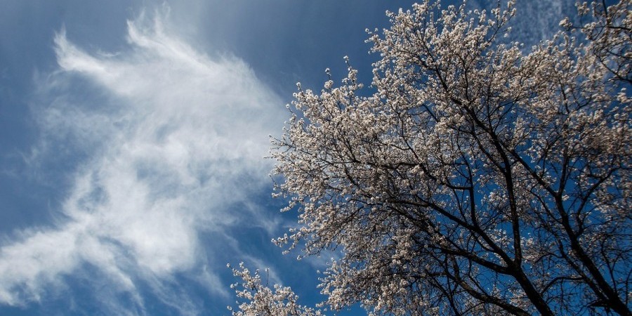 Αίθριος καιρός με αυξημένες νεφώσεις – Πότε επιστρέφει η σκόνη