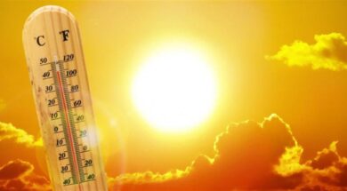 e3674d22-77fe-4831-8f7c-25dc9e348506_ea0df46e-f778-41e8-adca-6a1ac63d7b63_1478955-kafsonas-930-1