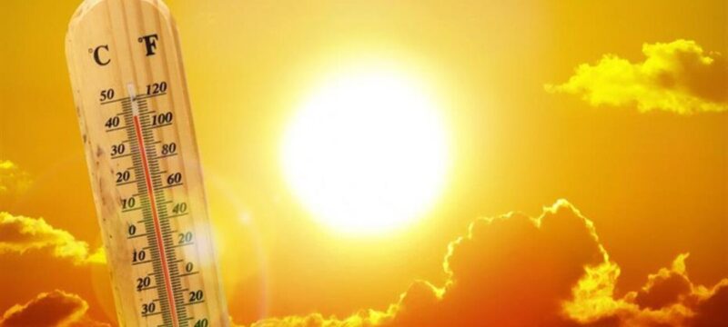 e3674d22-77fe-4831-8f7c-25dc9e348506_ea0df46e-f778-41e8-adca-6a1ac63d7b63_1478955-kafsonas-930-1