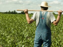 georgoi-e1490682148485