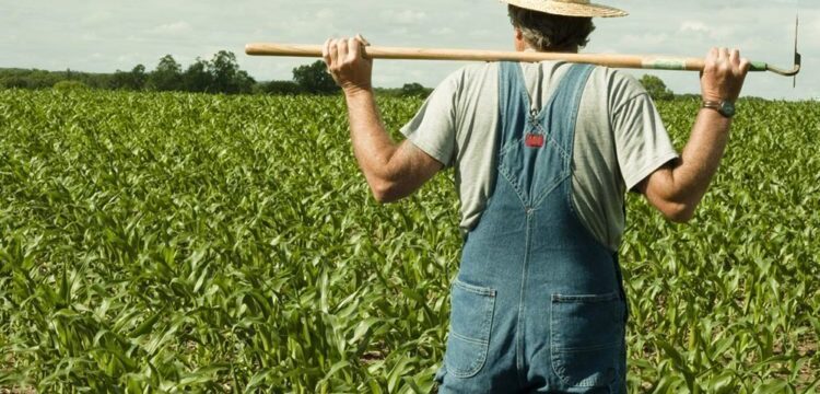 georgoi-e1490682148485