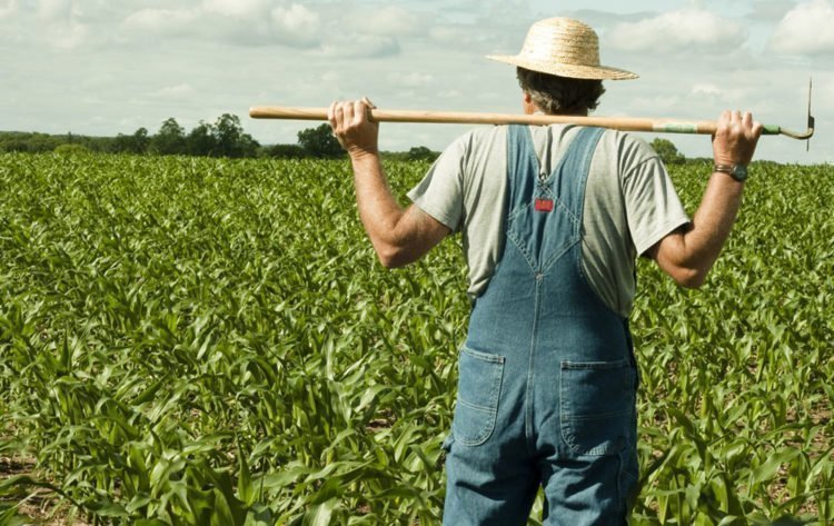 Θα έχουμε τελικά περικοπές νερού το καλοκαίρι; Κραυγή απόγνωσης από τους αγρότες, δυσαρέσκεια έχουν φέρει οι προτάσεις για την άρδευση