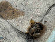 image-863-1024×606 (1)