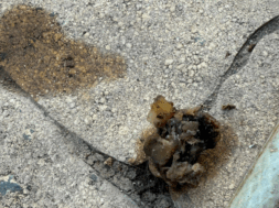 image-863-1024×606 (1)