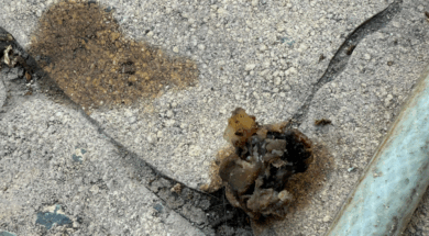 image-863-1024×606 (1)