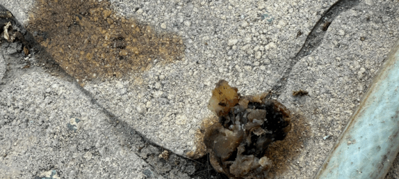 image-863-1024×606 (1)