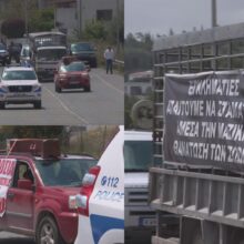 ktinotrofoi-diamartiria-exw (1)