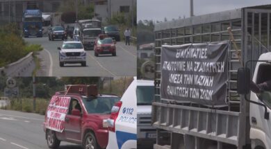 ktinotrofoi-diamartiria-exw (1)