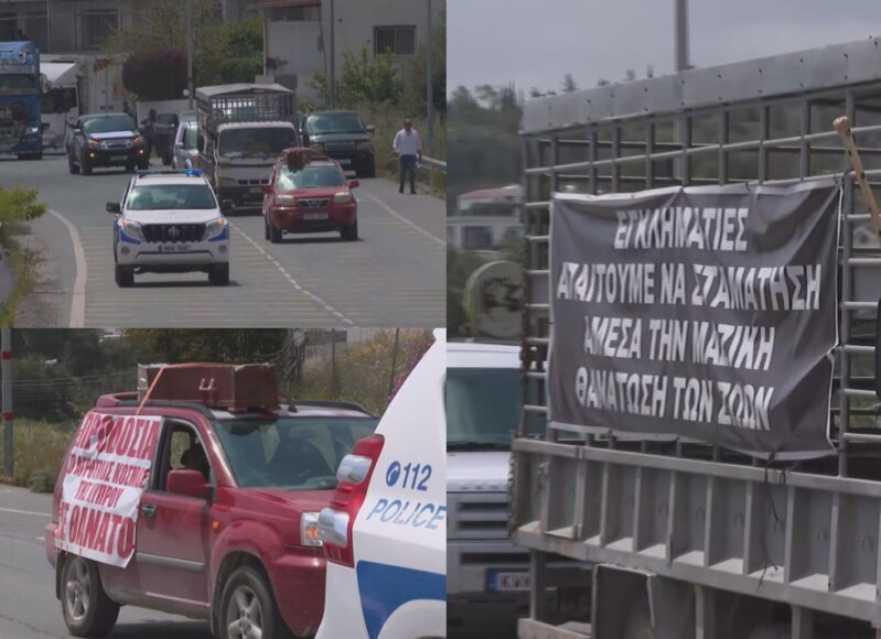 ktinotrofoi-diamartiria-exw (1)