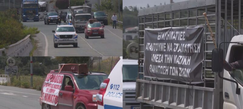 ktinotrofoi-diamartiria-exw (1)