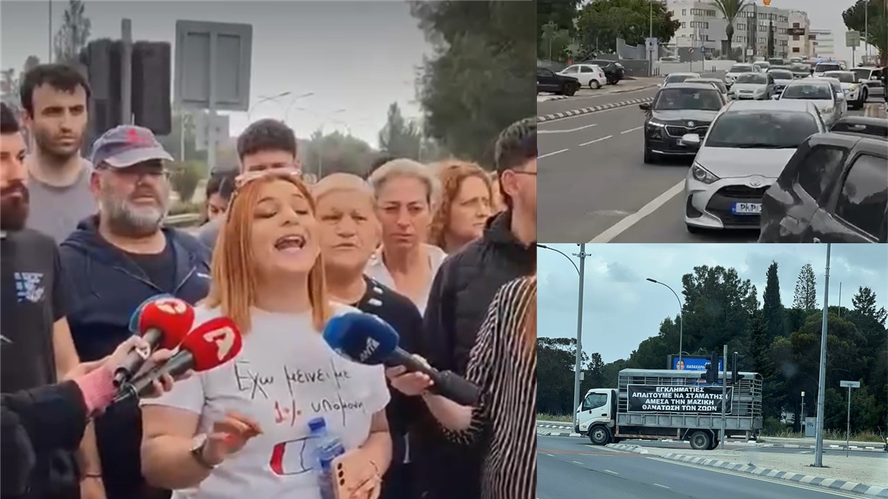 Λάρνακα: Κλείνουν τον κόμβο Ριζοελιάς οι Κτηνοτρόφοι: «Δεν θα μείνει ζώο ζωντανό» – Δεν αποκλείουν την κλιμάκωση των κινητοποιήσεων