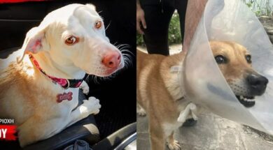 maili-rocky-2048×1150