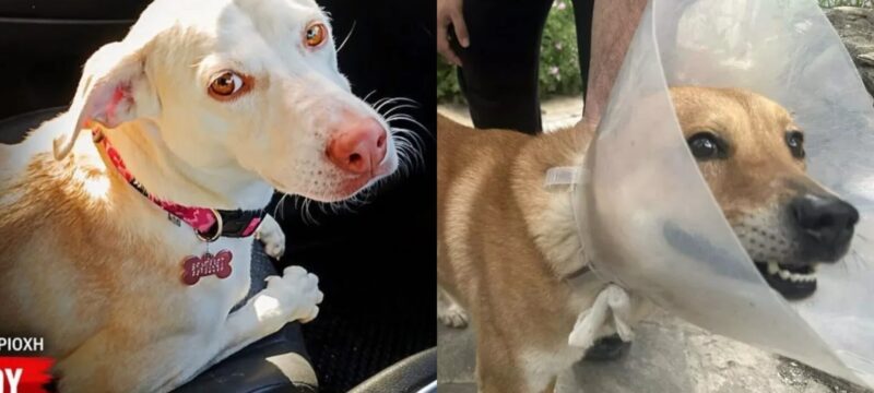 maili-rocky-2048×1150