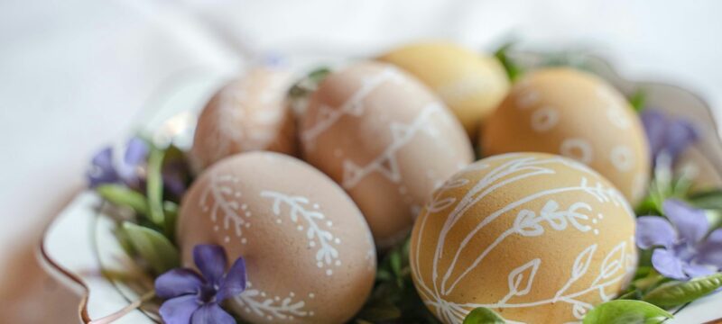 michal-balog-O0bbw2Mo8Yk-unsplash.2e16d0ba.fill-1375×729