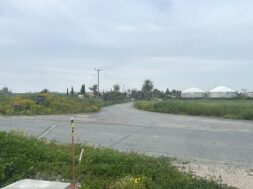 palaiometoxo_krousma