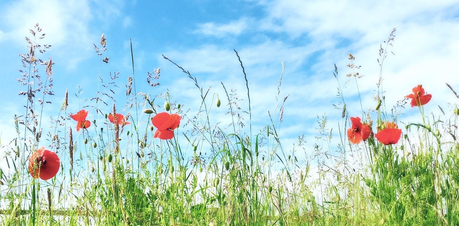 Αλλάζει το σκηνικό: Έρχεται άνοδος θερμοκρασίας και δίνει άρωμα… καλοκαιριού