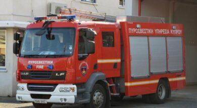 pyrosvestiki_ypiresia660