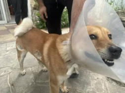 rocky-pirovolismoi-pera-1-768×576