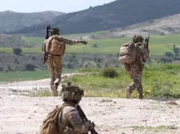 sinekpaidefsiefmegallia