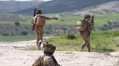 sinekpaidefsiefmegallia