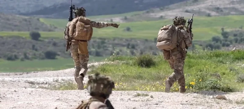 sinekpaidefsiefmegallia