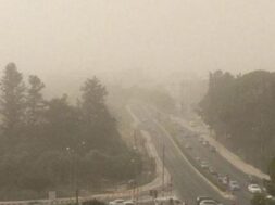 skoni_5.2e16d0ba.fill-1375×729-1