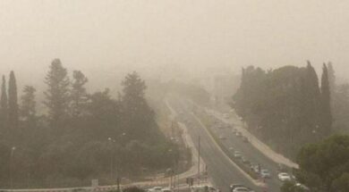 skoni_5.2e16d0ba.fill-1375×729-1