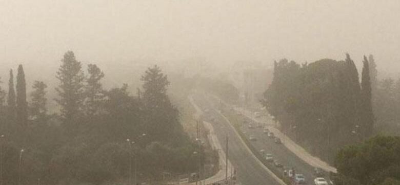 skoni_5.2e16d0ba.fill-1375×729-1