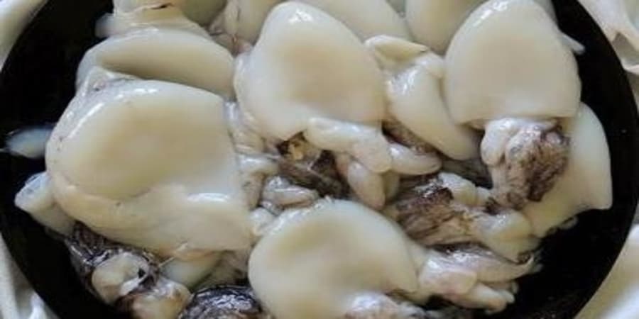 Προσοχή! Αποσύρονται κατεψυγμένες σουπιές από την αγορά (ΦΩΤΟ)