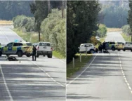 thanatiforo-large_thumbnail