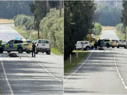 thanatiforo-large_thumbnail