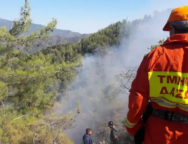 tmima_dason_cyprus.width-750.2e16d0ba.fill-1600×900