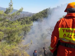 tmima_dason_cyprus.width-750.2e16d0ba.fill-1600×900