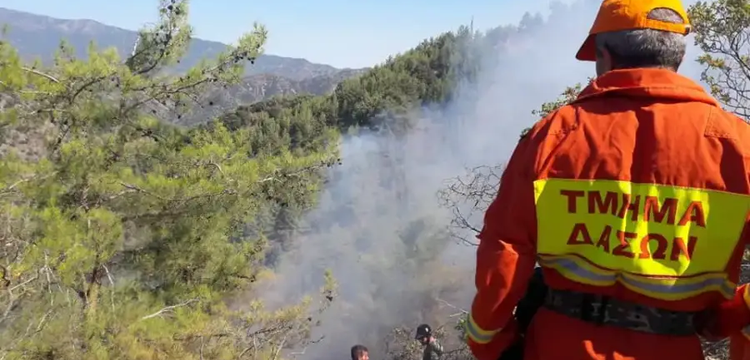 tmima_dason_cyprus.width-750.2e16d0ba.fill-1600×900