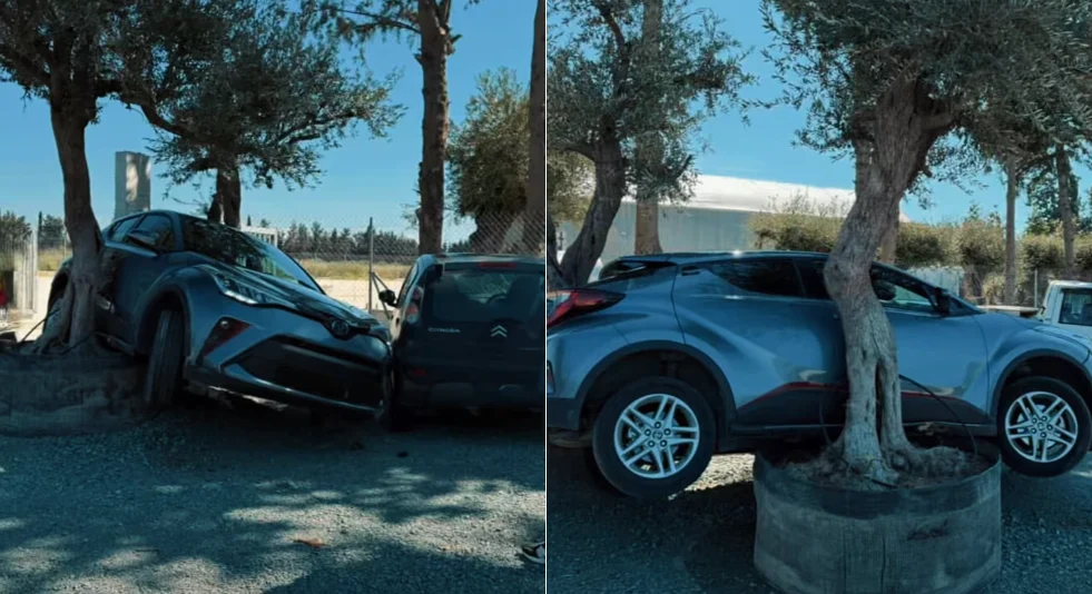 Ασυνήθιστο τροχαίο στη Λεμεσό – Οδηγός «σκαρφάλωσε» με το αυτοκίνητο σε δέντρο