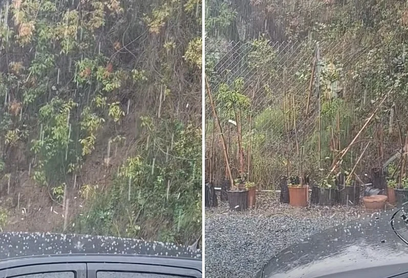 Λάρνακα: Ελαφριά χαλαζόπτωση έκανε αισθητή την παρουσία της στη Βάβλα (ΒΙΝΤΕΟ)