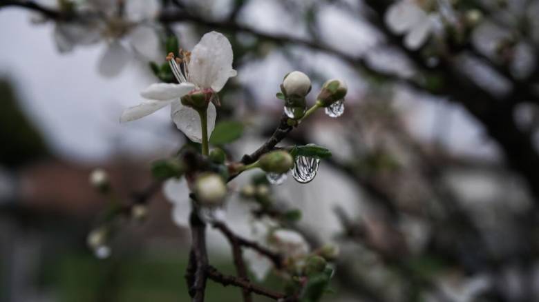 Βροχές, καταιγίδες και χαλάζι στο «μενού» του καιρού