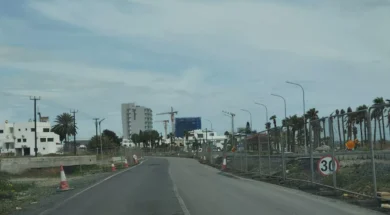 ΔΡΟΜΟΣ ΛΑΡΝΑΚΑΣ – ΔΕΚΕΛΕΙΑΣ 1