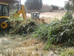 ΚΑΘΑΡΙΣΜΟΣ ΟΙΚΟΠΕΔΩΝ