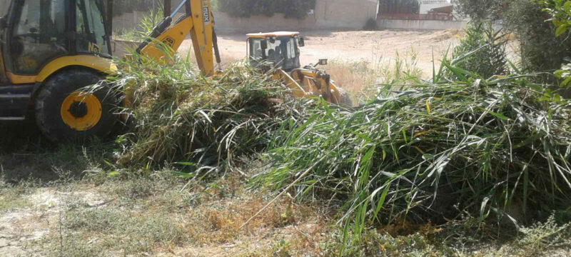 ΚΑΘΑΡΙΣΜΟΣ ΟΙΚΟΠΕΔΩΝ