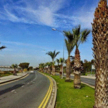 ΛΕΩΦΟΡΟΣ ΑΡΤΕΜΙΔΟΣ