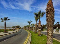 ΛΕΩΦΟΡΟΣ ΑΡΤΕΜΙΔΟΣ