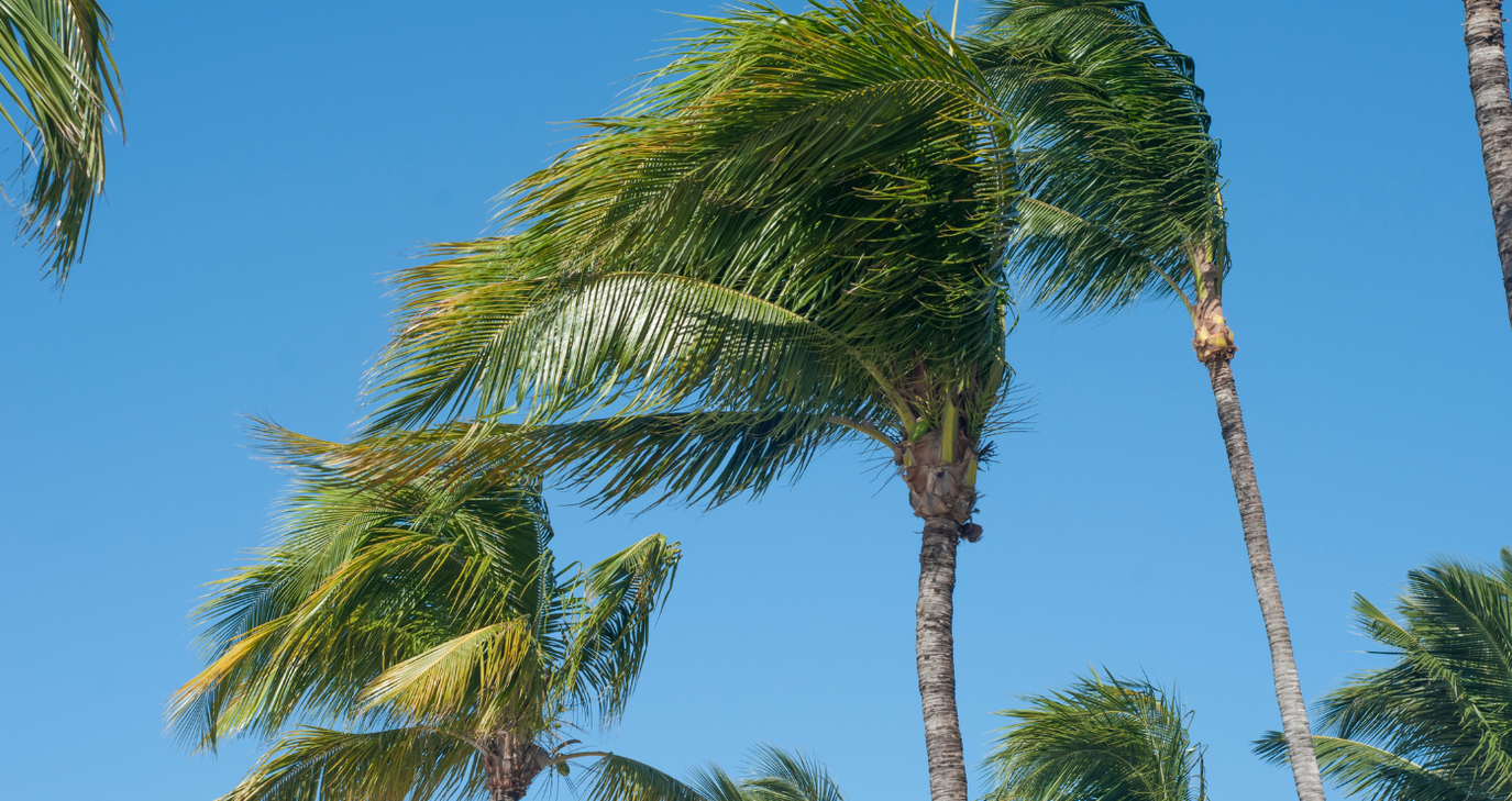 Τι μας φέρνει ο καιρός μέχρι την Κυριακή, σημαντικά ενισχυμένο το πεδίο των ανέμων