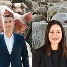 ππεκρηςπαναγιώτου