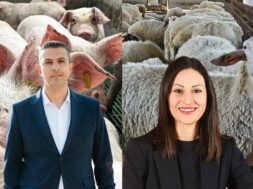 ππεκρηςπαναγιώτου