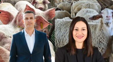 ππεκρηςπαναγιώτου