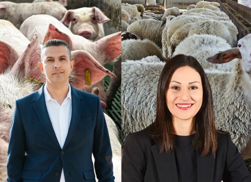 ππεκρηςπαναγιώτου